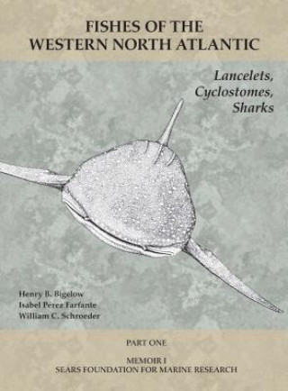 Kniha Lancelets, Cyclostomes, Sharks Albert E. Parr