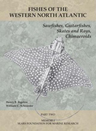 Kniha Sawfishes, Guitarfishes, Skates and Rays, Chimaeroids Albert E. Parr