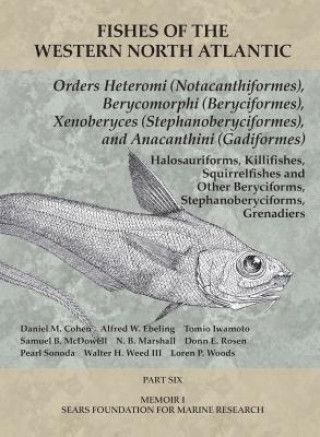 Könyv Orders Heteromi (Notacanthiformes), Berycomorphi (Beryciformes), Xenoberyces (Stephanoberyciformes), Anacanthini (Gadiformes) Daniel M. Cohen