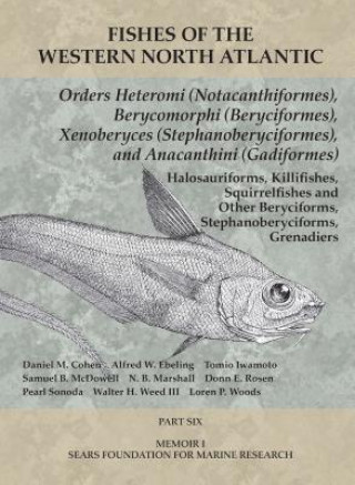 Kniha Orders Heteromi (Notacanthiformes), Berycomorphi (Beryciformes), Xenoberyces (Stephanoberyciformes), Anacanthini (Gadiformes) Daniel M. Cohen