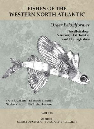 Kniha Order Beloniformes: Needlefishes, Sauries, Halfbeaks, and Flyingfishes Thomas J. Near