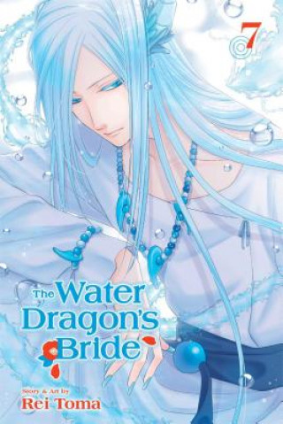 Könyv Water Dragon's Bride, Vol. 7 Rei Toma