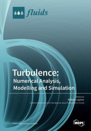 Książka Turbulence WILLIAM LAYTON