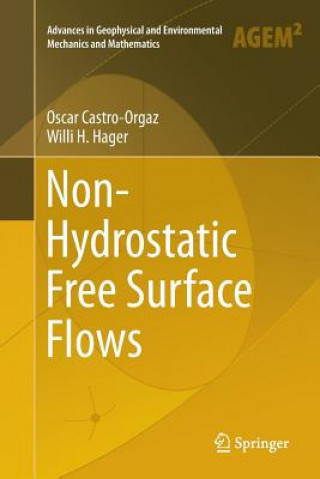 Книга Non-Hydrostatic Free Surface Flows OSCAR CASTRO-ORGAZ