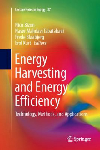 Könyv Energy Harvesting and Energy Efficiency NICU BIZON