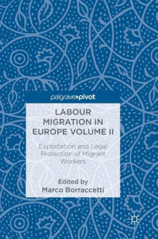 Kniha Labour Migration in Europe Volume II Marco Borraccetti