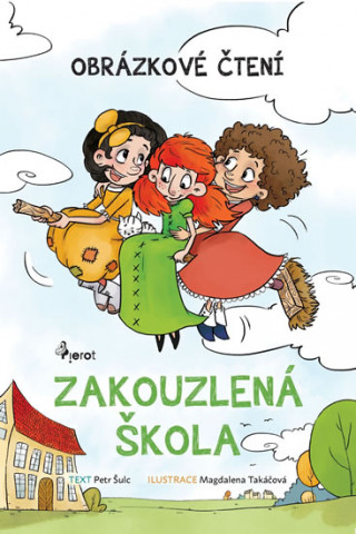 Book Zakouzlená škola Petr Šulc
