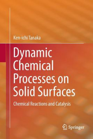 Kniha Dynamic Chemical Processes on Solid Surfaces KEN-ICHI TANAKA