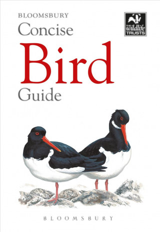 Kniha Concise Bird Guide Bloomsbury