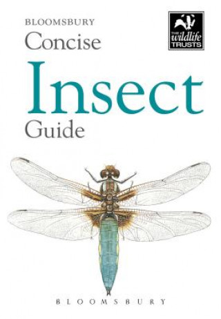 Kniha Concise Insect Guide Bloomsbury