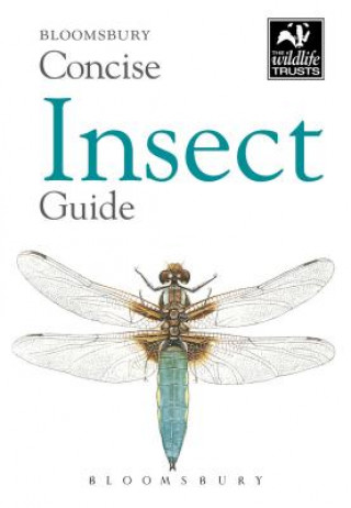 Książka Concise Insect Guide Bloomsbury