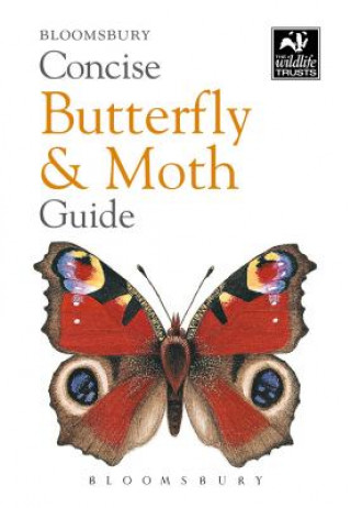 Carte Concise Butterfly and Moth Guide Bloomsbury