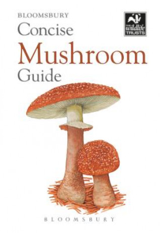 Könyv Concise Mushroom Guide Bloomsbury
