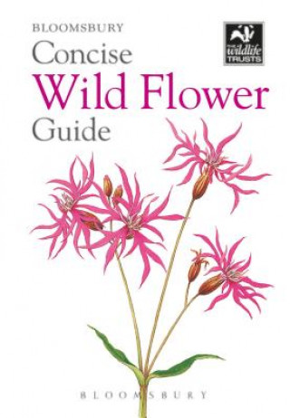 Carte Concise Wild Flower Guide Bloomsbury
