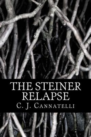 Książka The Steiner Relapse: The Steiner House Saga C J Cannatelli