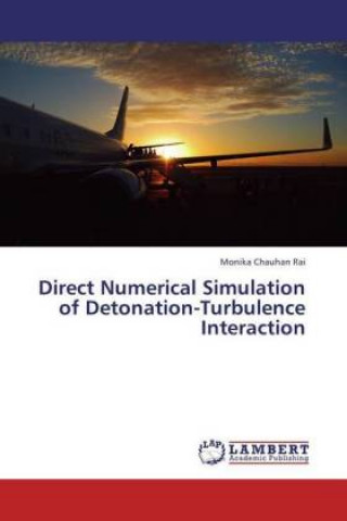 Kniha Direct Numerical Simulation of Detonation-Turbulence Interaction Monika Chauhan Rai