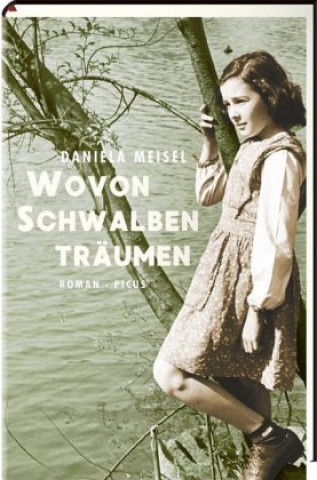 Kniha Wovon Schwalben träumen Daniela Meisel