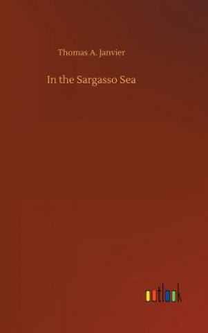 Kniha In the Sargasso Sea Thomas A Janvier