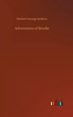 Buch Adventures of Bindle Herbert George Jenkins