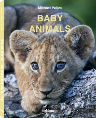 Könyv Baby Animals Michael Poliza