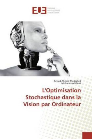 Carte L'Optimisation Stochastique dans la Vision par Ordinateur Seyyid Ahmed Medjahed