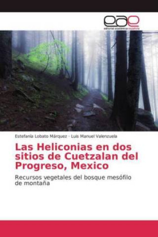 Carte Las Heliconias en dos sitios de Cuetzalan del Progreso, Mexico Estefanía Lobato Márquez