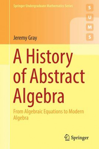 Könyv History of Abstract Algebra Jeremy Gray