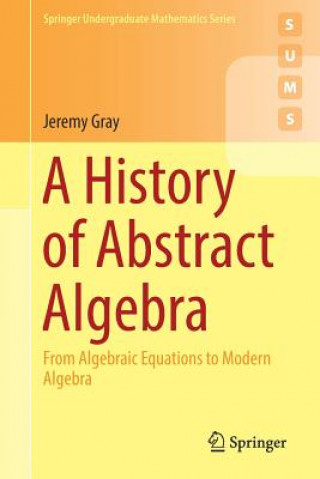 Knjiga History of Abstract Algebra Jeremy Gray