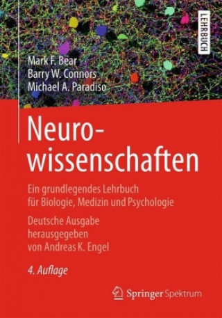 Kniha Neurowissenschaften Mark F. Bear