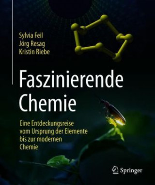 Kniha Faszinierende Chemie Sylvia Feil