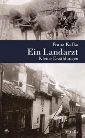 Könyv Ein Landarzt Franz Kafka