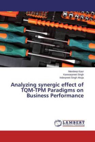 Kniha Analyzing synergic effect of TQM-TPM Paradigms on Business Performance Mandeep Kaur