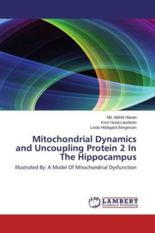 Kniha Mitochondrial Dynamics and Uncoupling Protein 2 In The Hippocampus Md. Mahdi Hasan