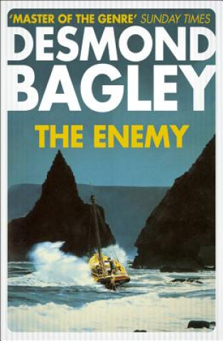 Kniha Enemy Desmond Bagley