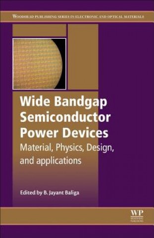 Kniha Wide Bandgap Semiconductor Power Devices 