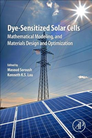 Kniha Dye-Sensitized Solar Cells Soroush