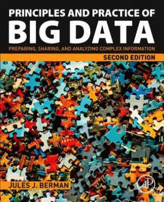 Kniha Principles and Practice of Big Data Berman