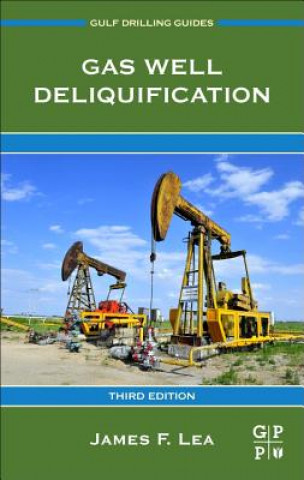 Könyv Gas Well Deliquification Lea