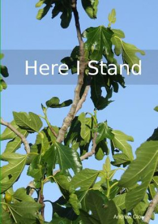 Knjiga Here I Stand ANDREW CLOW