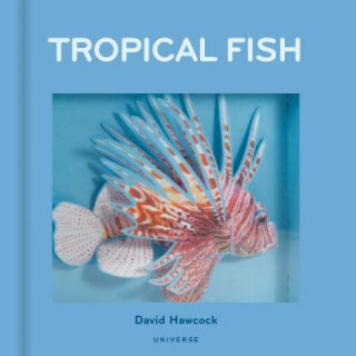 Kniha Tropical Fish David Hawcock
