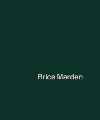 Buch Brice Marden Paul Hills