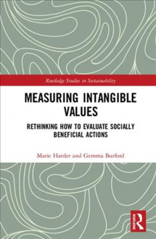 Libro Measuring Intangible Values Marie Harder