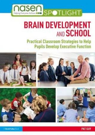 Book Brain Development and School Pat Guy