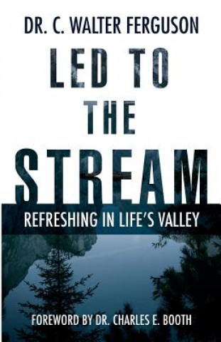Carte Led to the Stream: Refreshing in Life's Valley C Walter Ferguson