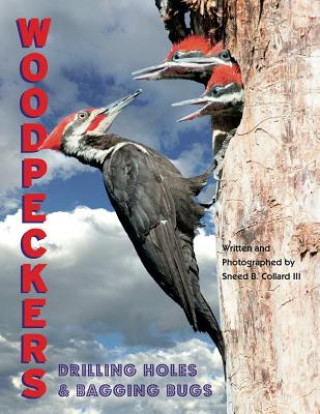Carte Woodpeckers Sneed B Collard