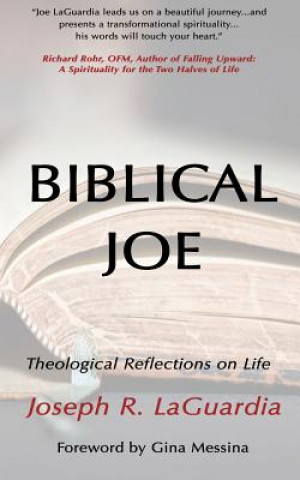 Kniha Biblical Joe: Theological Reflections on Life Joseph R Laguardia