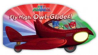 Carte Fly High, Owl-Glider! A E Dingee