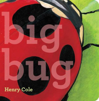 Book Big Bug Henry Cole