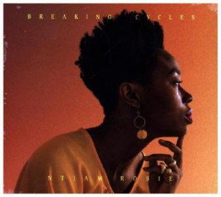 Audio  Breaking Cycles, 1 Audio-CD Ntjam Rosie