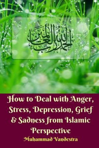 Kniha How to Deal With Anger, Stress, Depression, Grief and Sadness from Islamic Perspective MUHAMMAD VANDESTRA